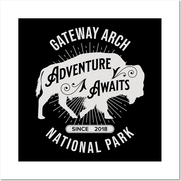 Gateway Arch National Park Wall Art by Alien Bee Outdoors